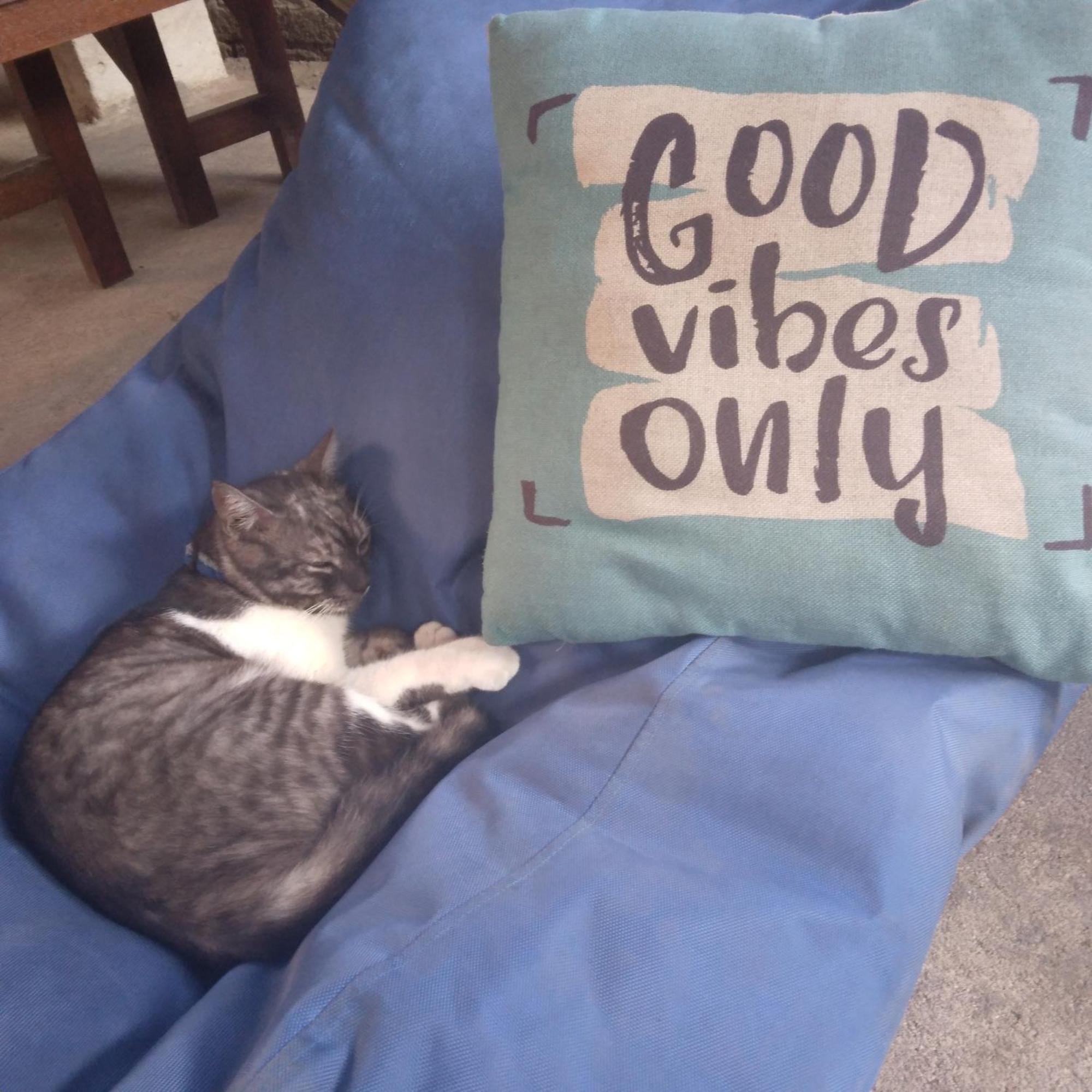 Good Vibes Bungalows 길리트라왕안 외부 사진